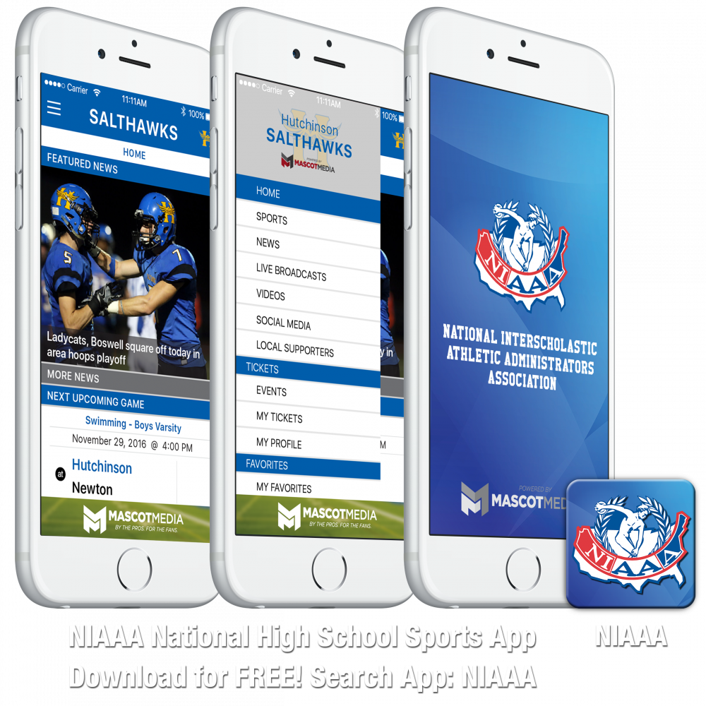 niaaa-3screen-icon-v2-2 niaaa-3screen-icon-v2-2